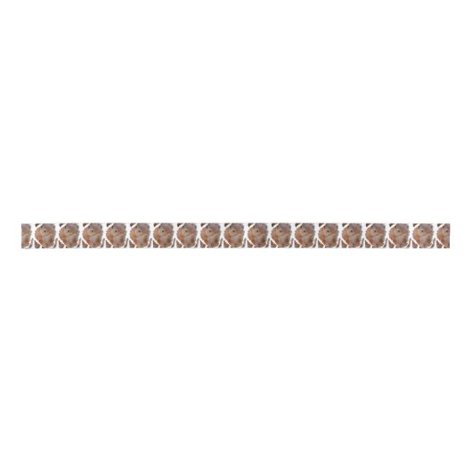 SQUIRREL EICHHÖRNCHEN ÉCUREUIL SATIJNEN LINT (Voorkant)