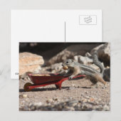 Squirrel Farmer Briefkaart (Voorkant / Achterkant)