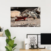 Squirrel Farmer Poster (Thuiskantoor)
