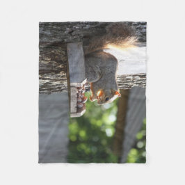 Squirrel Fleece Blanket
