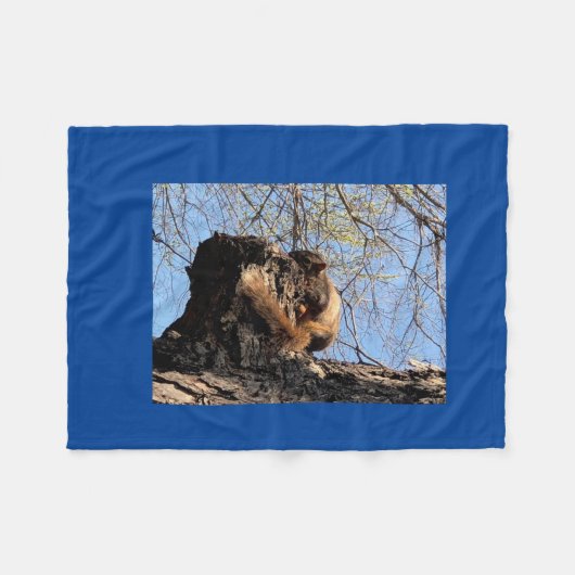 Squirrel Fleece Blanket Deken (Voorkant (Horizontaal))