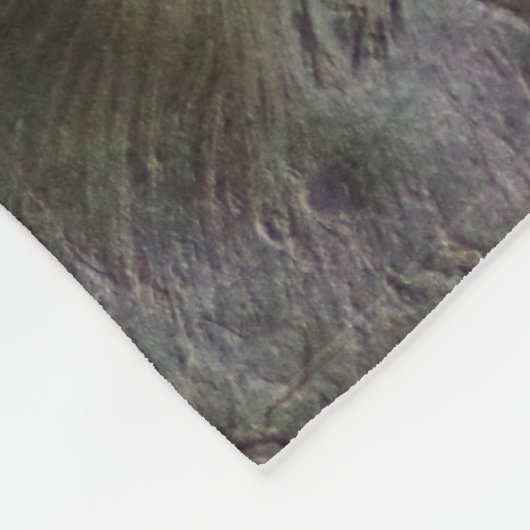 Squirrel Fleece Blanket Deken (Hoek)