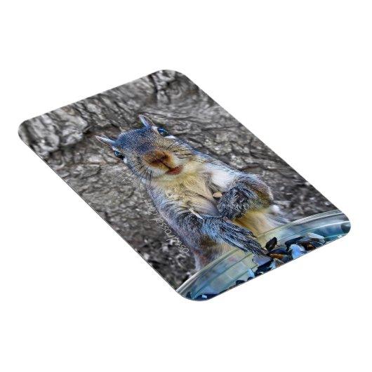 Squirrel Flexi magnet 3 x 4 Magneet (Rechterzijde)