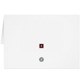 Squirrel French Artist Félicitations (Achterkant Horizontaal)