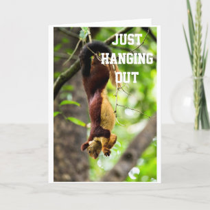 SQUIRREL GAAT NAAR BUITEN OM TE ZEGGEN "BIRTHDAY" KAART