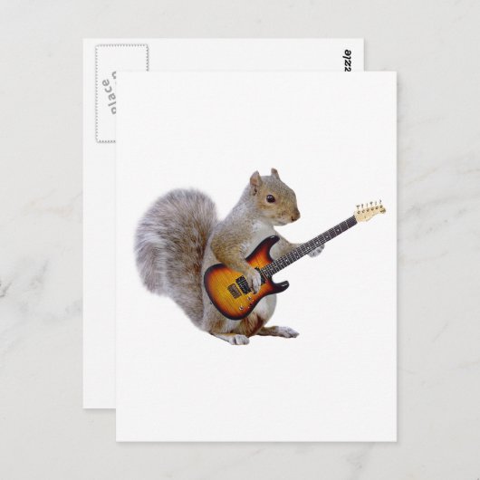 Squirrel Guitar Briefkaart (Voorkant / Achterkant)