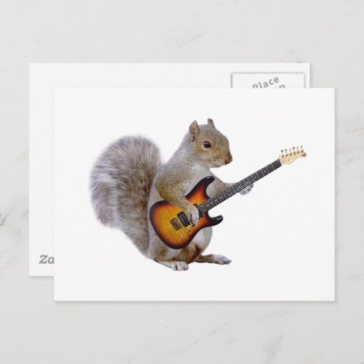Squirrel Guitar Briefkaart (Voorkant / Achterkant)