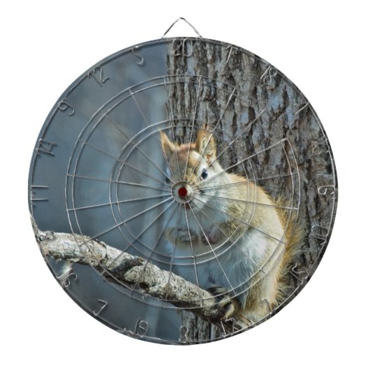 Squirrel Haters Dartboard Dartbord (Voorkant)