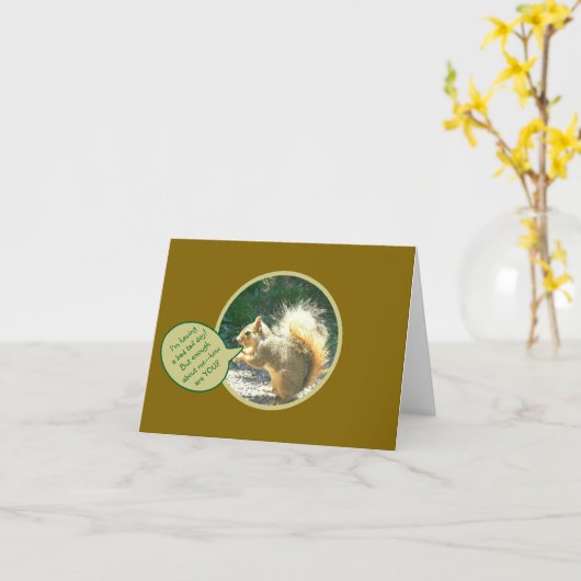 SQUIRREL/HAVING BAD TAIL DAY/HUMOROUS/HOW ARE YOU? KAART (Gele Bloem)