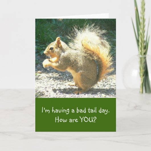 SQUIRREL/HAVING DE SLECHTE STAART DAY/HUMOROUS/HOW KAART (Voorkant)