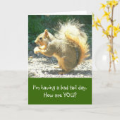 SQUIRREL/HAVING DE SLECHTE STAART DAY/HUMOROUS/HOW KAART (Gele Bloem)
