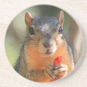 Squirrel Holding Cheese Puff onderzetter