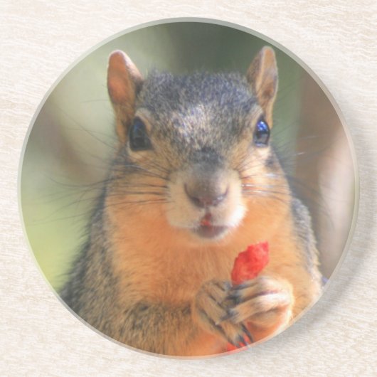 Squirrel Holding Cheese Puff onderzetter (Voorkant)