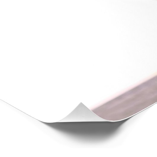 Squirrel Holding Red Rose Bouquet Foto Afdruk (Hoek)