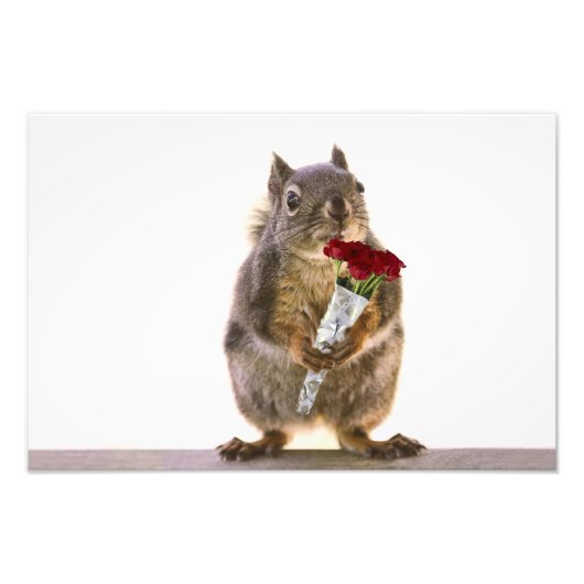 Squirrel Holding Red Rose Bouquet Foto Afdruk (Voorkant)