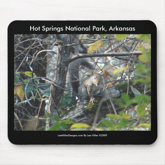 Squirrel Hot Springs Nat'l Park Mt., AR Piek Trail Muismat (Voorkant)