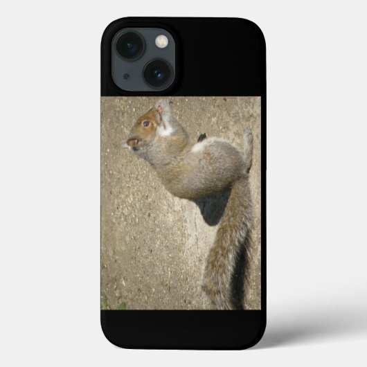 Squirrel Hungry Horatio Case-Mate iPhone Case (Achterkant)