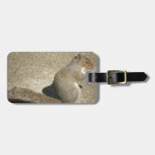 Squirrel Hungry Horatio Custom Bagagelabel (Voorkant horizontaal)