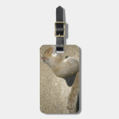 Squirrel Hungry Horatio Custom Bagagelabel (Voorkant verticaal)