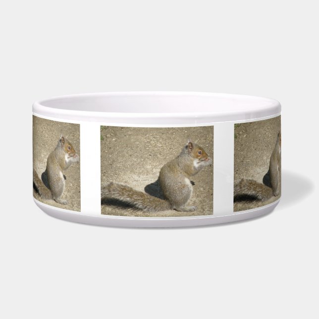 Squirrel Hungry Horatio Dog Bowl Voerbakje (Voorkant)