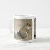 Squirrel Hungry Horatio Mok (Voorkant links)