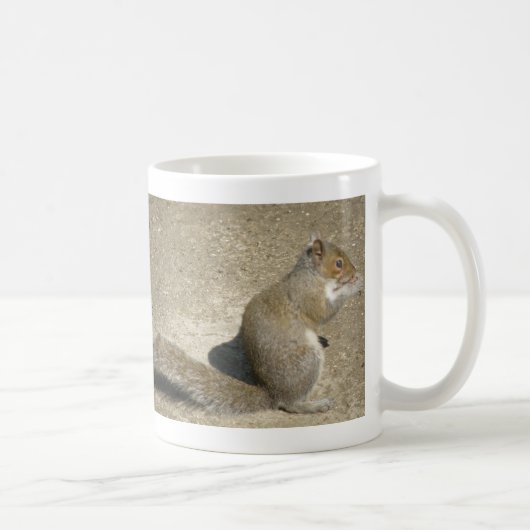 Squirrel Hungry Horatio Mok (Rechts)