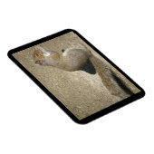 Squirrel Hungry Horatio Premium Magnet Magneet (Rechterzijde)