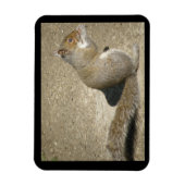Squirrel Hungry Horatio Premium Magnet Magneet (Verticaal)