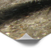 Squirrel Hungry Horatio Print (Hoek)