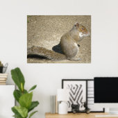 Squirrel Hungry Horatio Print (Thuiskantoor)
