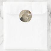 Squirrel Hungry Horatio Sticker (Tas)