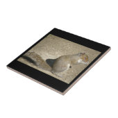 Squirrel Hungry Horatio Tile Tegeltje (Zijkant)