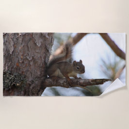 Squirrel in a Pine Tree Beach Towel Strandlaken