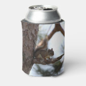 Squirrel in a Pine Tree Blikjeskoeler (Blikje Achterkant)