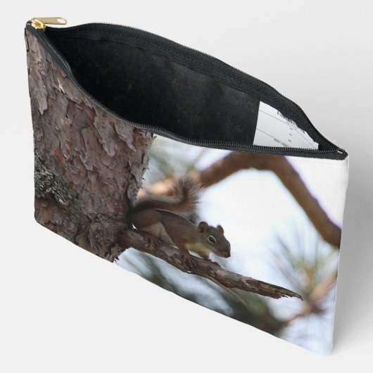 Squirrel in a Pine Tree Etui (Open)