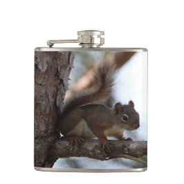 Squirrel in a Pine Tree Heupfles