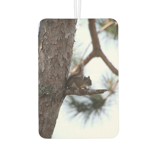 Squirrel in a Pine Tree Luchtverfrisser (Achterkant)