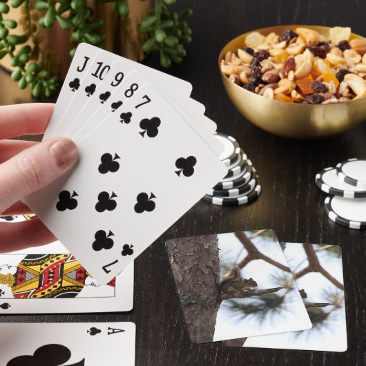 Squirrel in a Pine Tree Playing Cards Pokerkaarten (Insitu)
