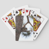 Squirrel in a Pine Tree Playing Cards Pokerkaarten (Achterkant)