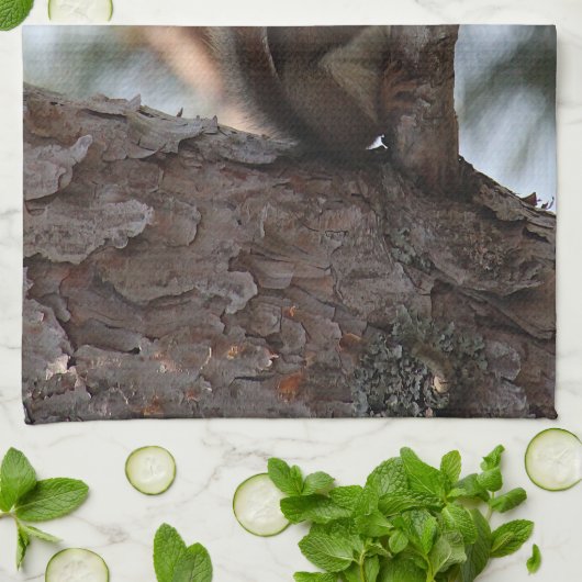 Squirrel in a Pine Tree Towel Theedoek (Gevouwen)