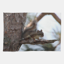 Squirrel in a Pine Tree Towel Theedoek