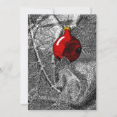 Squirrel in Christmas Tree Kaart (Voorkant)