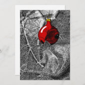 Squirrel in Christmas Tree Kaart (Voorkant / Achterkant)