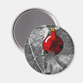 Squirrel in Christmas Tree Magneet (Voorkant / Achterkant)