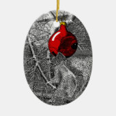 Squirrel in Christmas Tree Ornament (Voorkant)