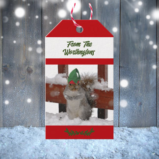 Squirrel in Green Hat Snowy Red and White  Cadeaulabel