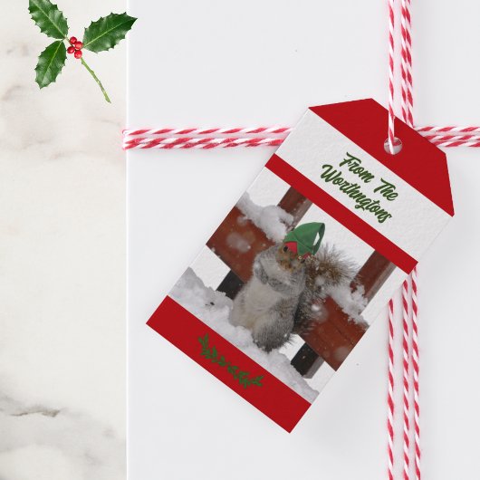 Squirrel in Green Hat Snowy Red and White Cadeaulabel