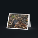 Squirrel in Leaves Kaart<br><div class="desc">Squirrel in Leaves Greeting Card. You can easily customize this product for free if you would like to add wording or change the color of the background.</div>