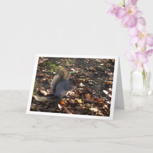 Squirrel in Leaves Kaart (Orchidee)