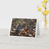 Squirrel in Leaves Kaart (Gele Bloem)